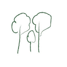 eco 5.jpg