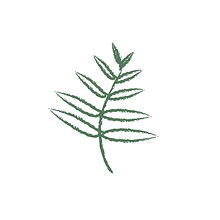 eco 3.jpg