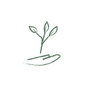 eco 1.jpg