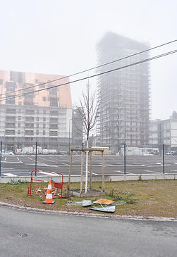 E2R,Fog 2022. N°7477