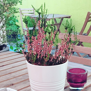 Screen Shot 2018-10-14 at 16.52.09_edite