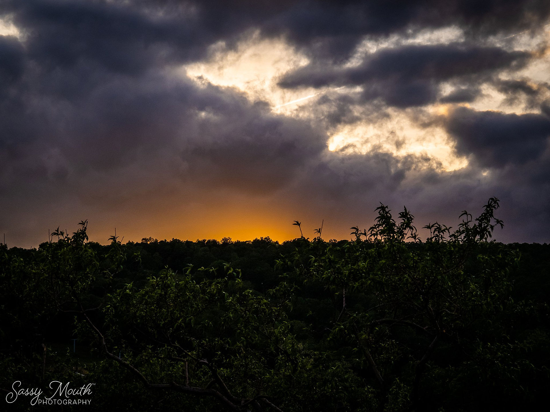 CT Travel - Lyman Orchards - Middlefield, Connecticut - Award Winning  Photography