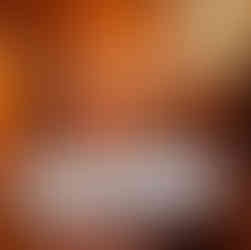 Frank Lloyd Wright Rosenbaum House Florence, Alabama by Marisa Balletti-Lavoie Queen of Sass