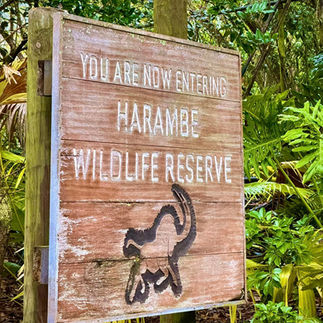 Disney World Kilmanjaro Safari at Dawn Marisa Balletti-Lavoie and Krystal Billings 