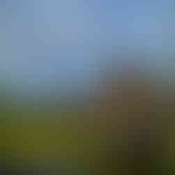 Disney World Kilmanjaro Safari at Dawn Marisa Balletti-Lavoie and Krystal Billings