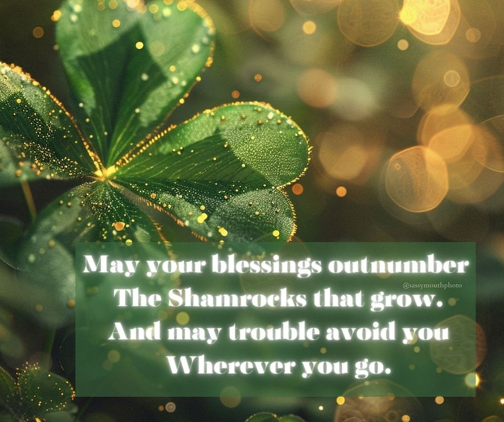 "May your blessings outnumber the shamrocks that grow and may trouble avoid you wherever you go"