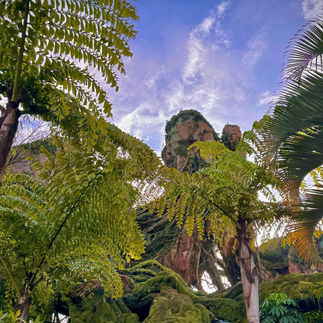 Pandora Disney Animal Kingdom Photos by Marisa Balletti-Lavoie Queen of Sass