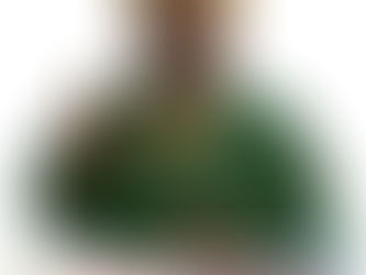 شيخ روحاني جزائري مجاني