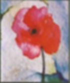 aulas de arte no Algarve