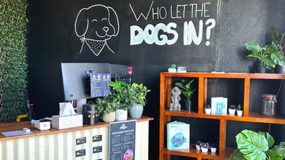 Dog grooming northern Gold Coast