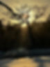 IMG_1533.jpeg