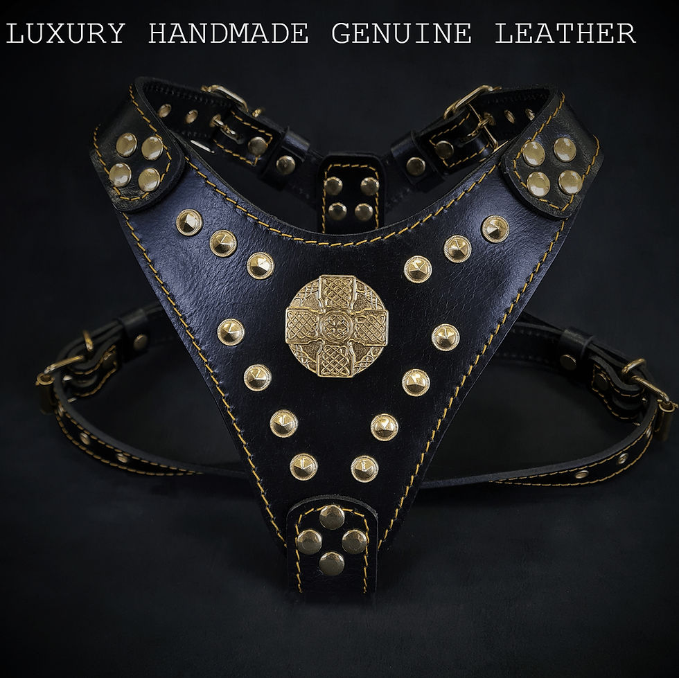 Pettorina per cani piccoli artigianale vera pelle lusso "Maximus black and gold"