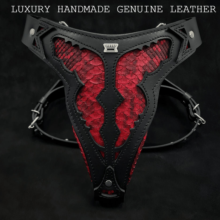 Pettorina per cani "Red Dragon" disponibile anche con guinzaglio, vera pelle