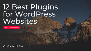 12 Best Plugins for WordPress Websites (The Complete List)