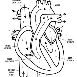 Hotels-Models14015 2_edit_new 2.jpg