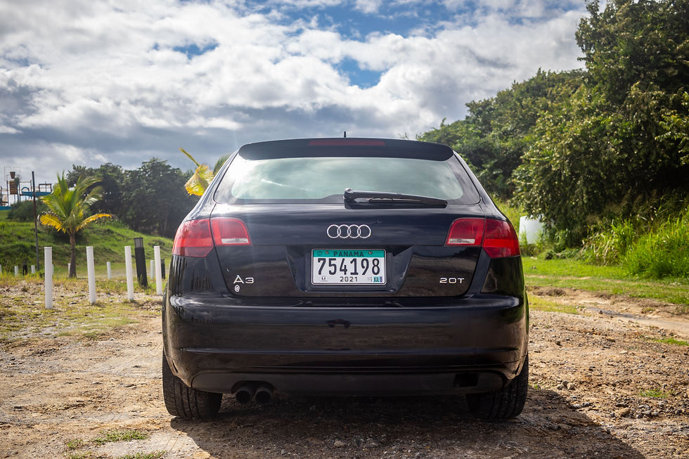 A3