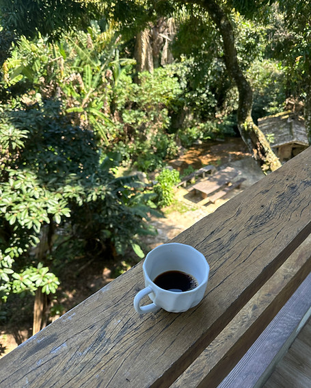 IMG_4323.jpeg