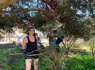 Community Gardens.jpg