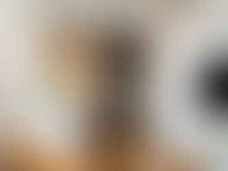 #0036 ไอเดียแต่งบ้านสไตล์ Scandi farmhouse by Waya Style