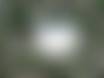 Gervitunglamyndir - nákvæmni og aldur