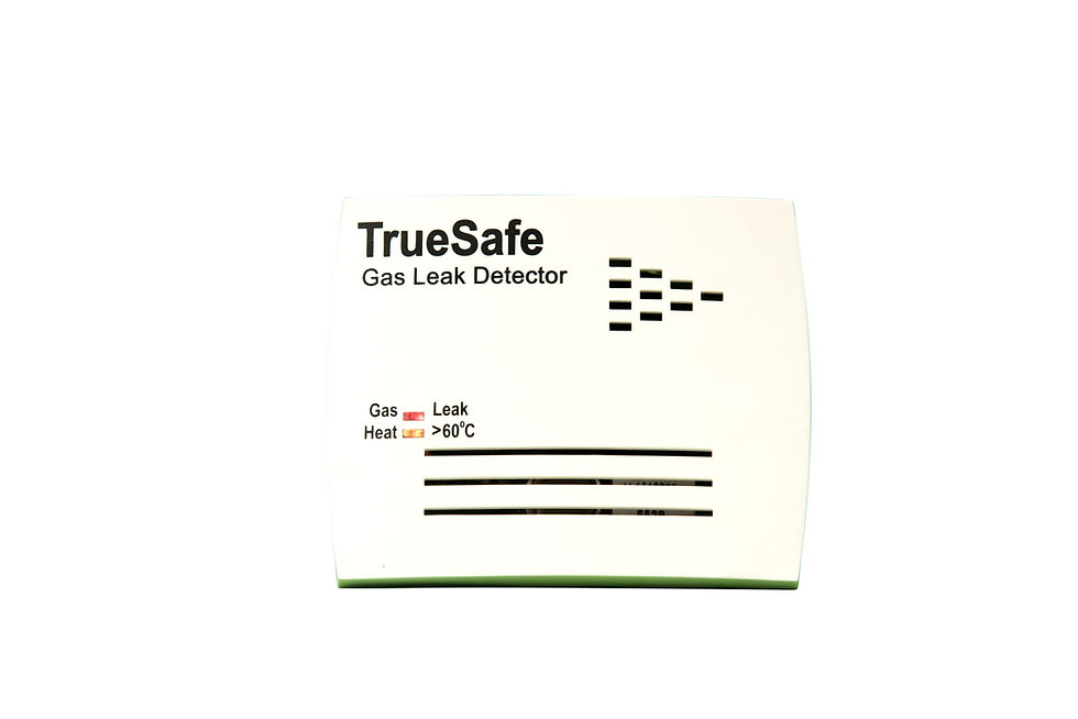 TS230 HLB - LPG / PNG RESIDENTIAL GAS LEAK DETECTOR | VighnahartaShop