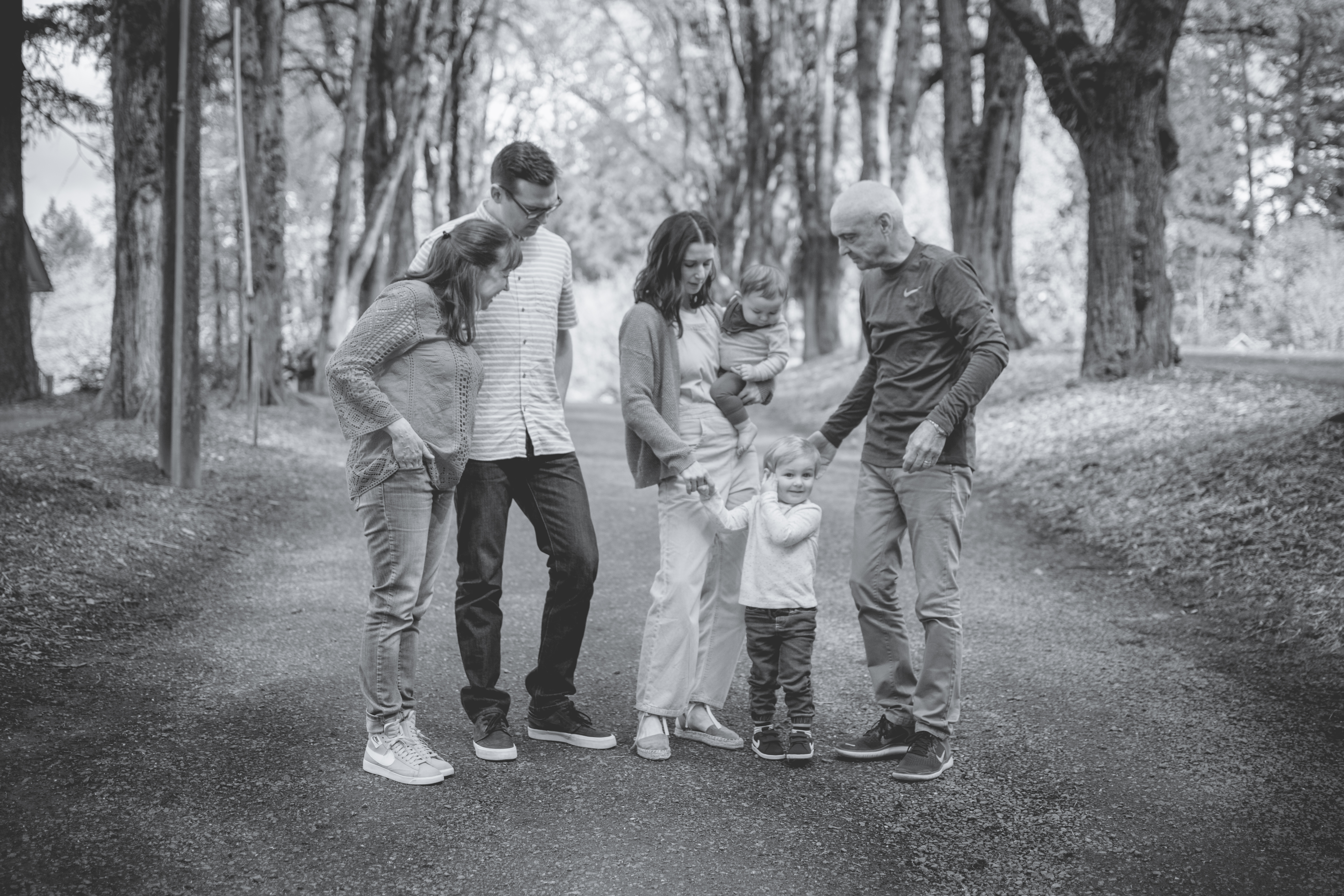 The Levisons