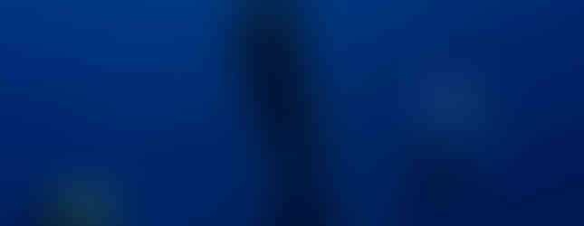 Rica Freedivers Quepos