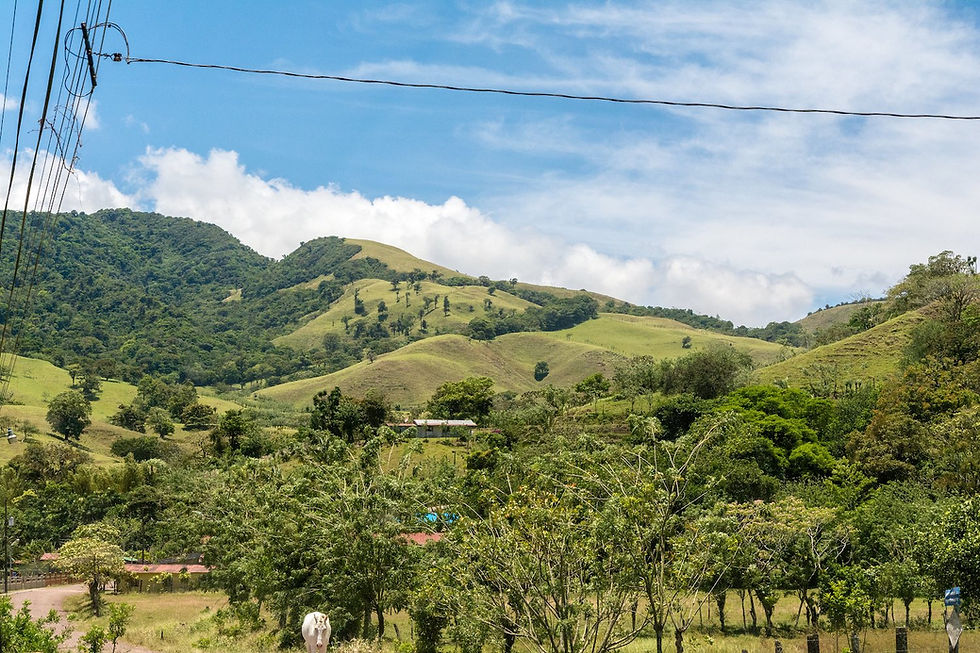 Guanacaste Costa Rica