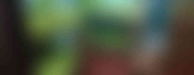 Hostel Monteverde Backpackers