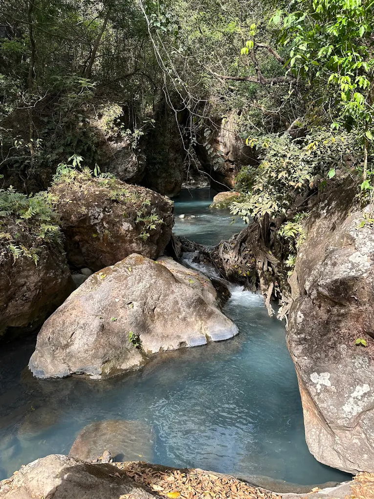 Cascade de La Leona, Costa Rica