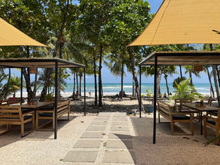 Meilleurs restaurants à Santa Teresa, Costa Rica : où manger ?
