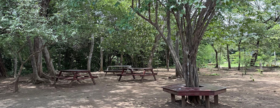 Llanos de Cortez Waterfall picnic area