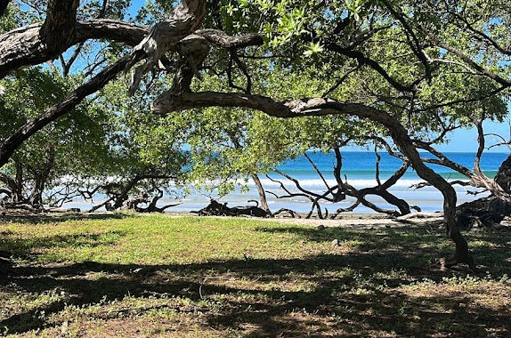 Cabinas Las Olas Guanacaste