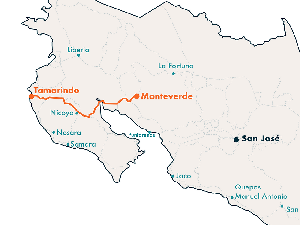 ¿Cómo llegar a Tamarindo desde Monteverde?