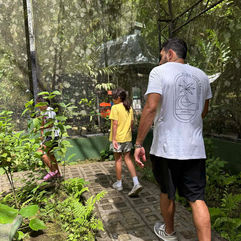 Jardín de mariposas