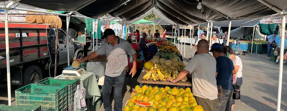 Farmers Market Quepos