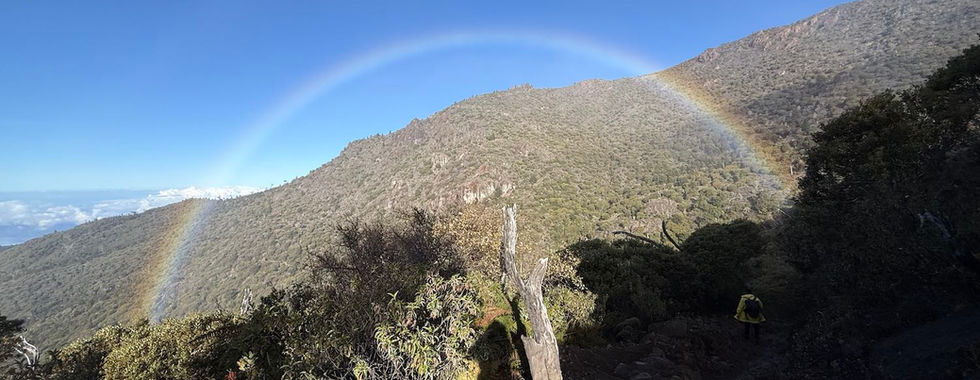 Caminata al Cerro Chirripó