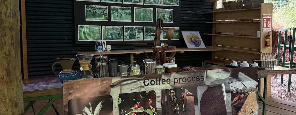 Visite de la chocolaterie et du café