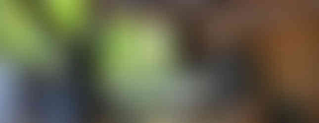 Eat Street - Marché alimentaire