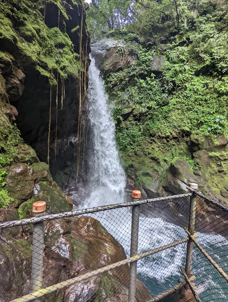 Cascade d&#39;Oropendola