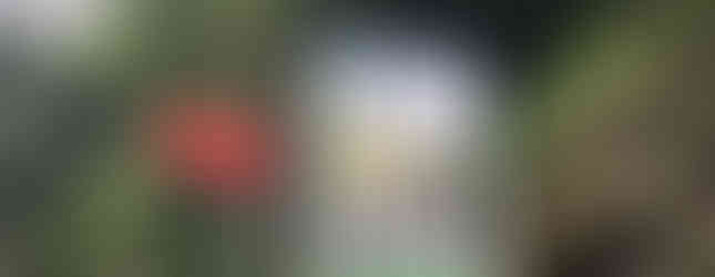 Nauyaca Waterfalls Main Office