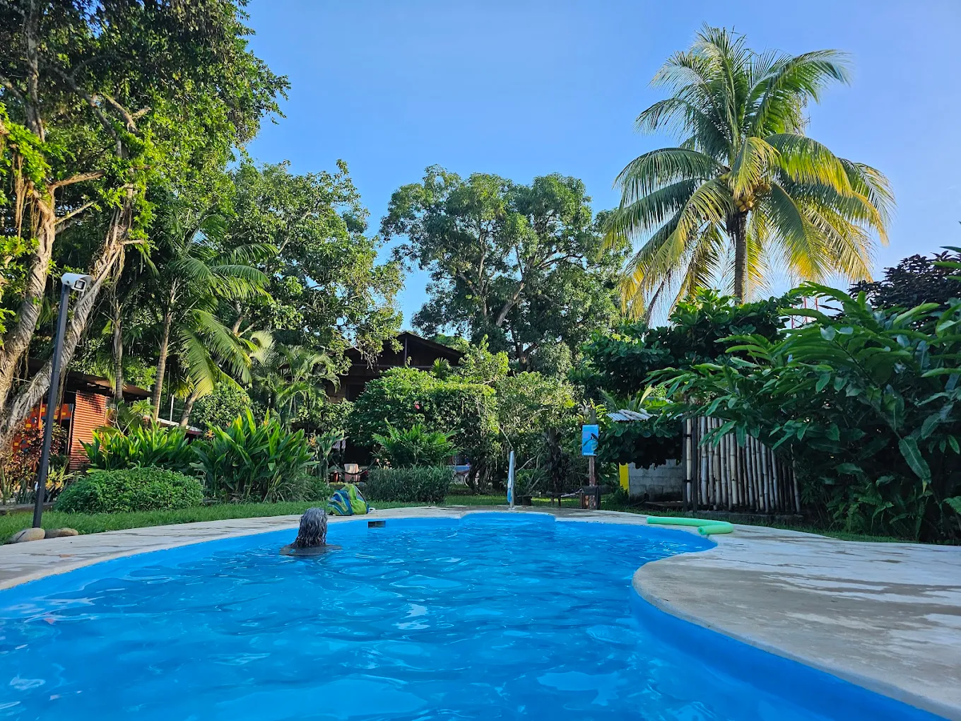 Hakuna Matata Hostel Cahuita pool