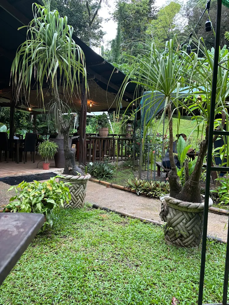 Café Nature