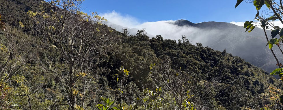 Caminata al Cerro Chirripó