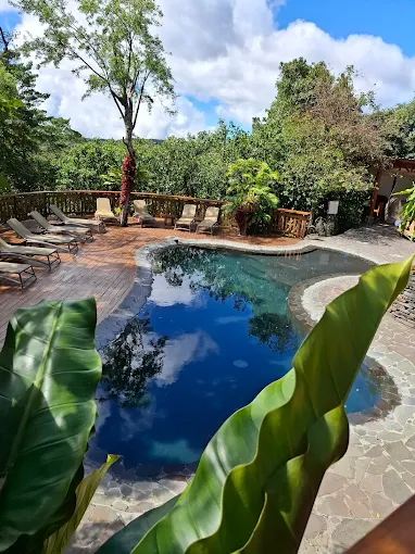 Monteverde Lodge & Gardens