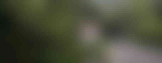 El Choyin La Fortuna