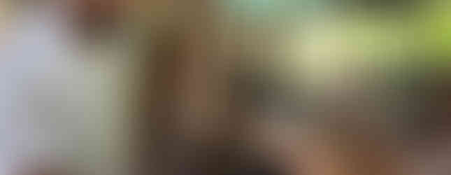 Visite de la chocolaterie et du café