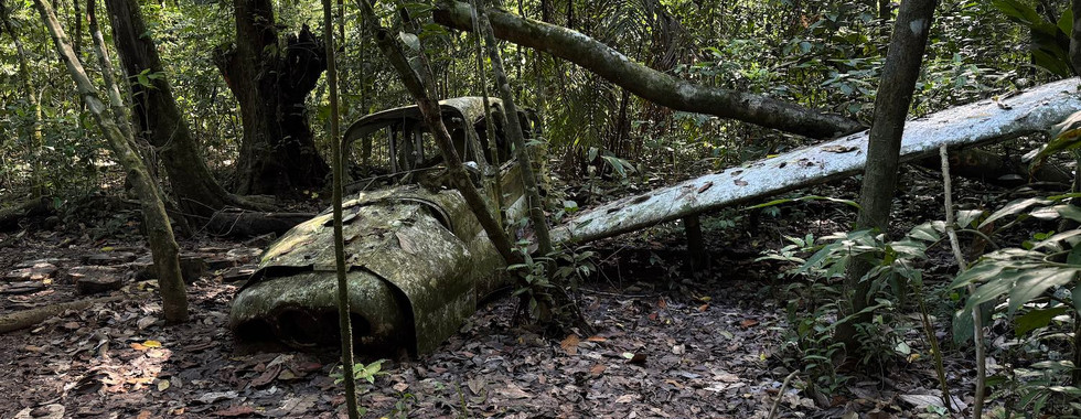 corcovado national park
