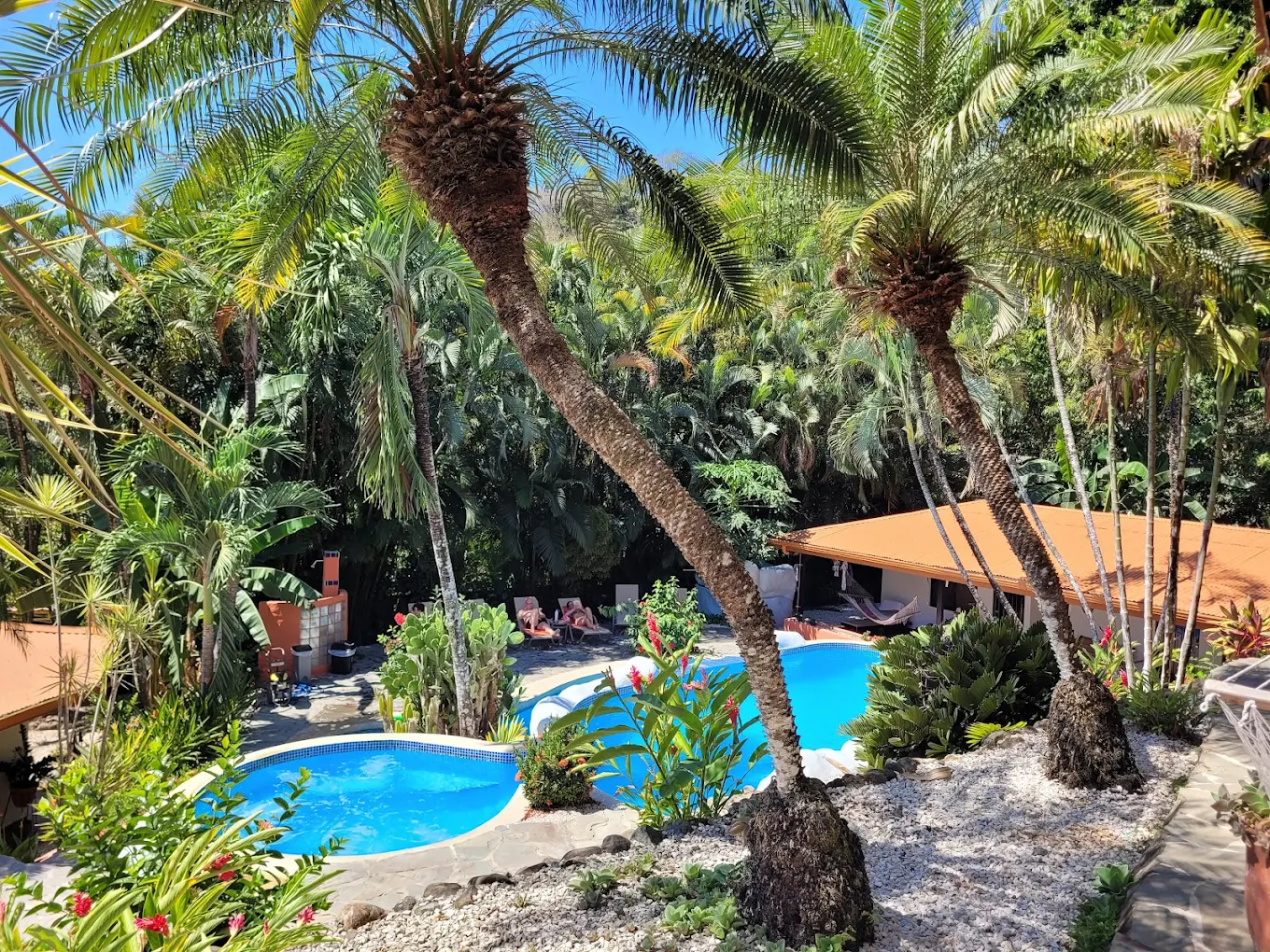 Hôtel El Jardin
