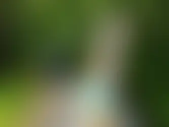 Cascades du Costa Rica : votre guide ultime pour découvrir le meilleur de la nature